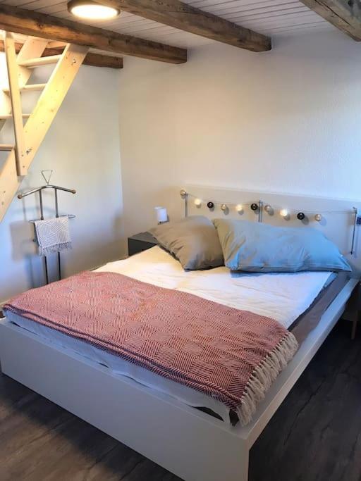 La Maisonnette : Charmante Maison Independante Salgesch ภายนอก รูปภาพ